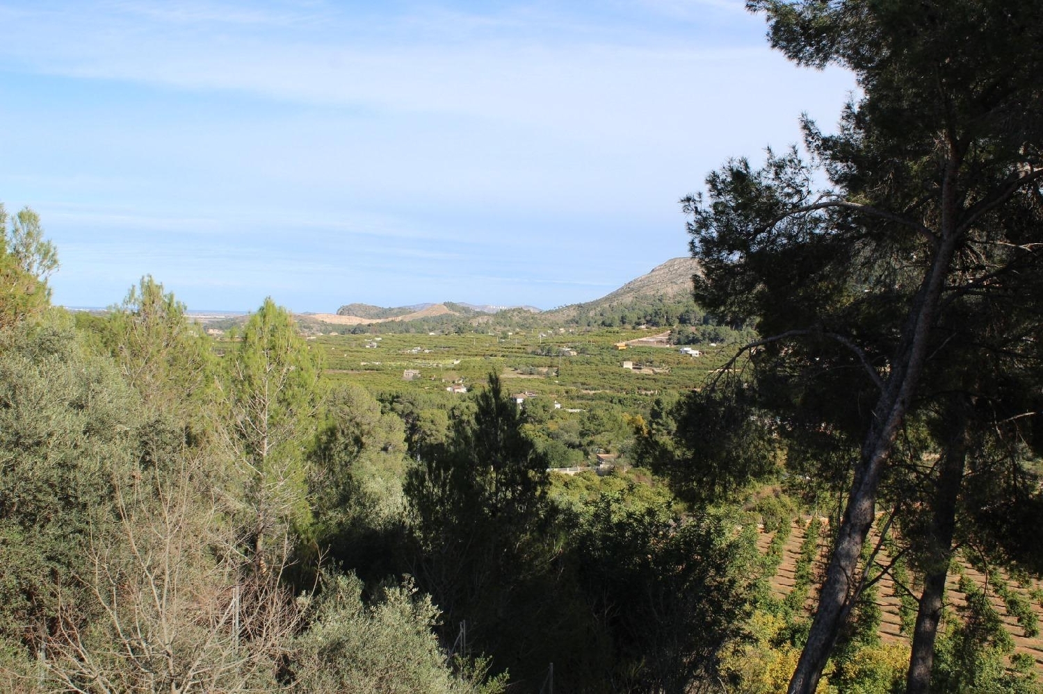  till salu tomt El Pla De Corbera Ribera Alta 8