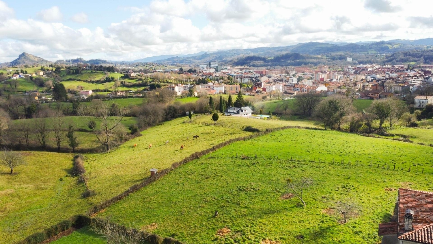  till salu tomt El Planadal Oviedo 6