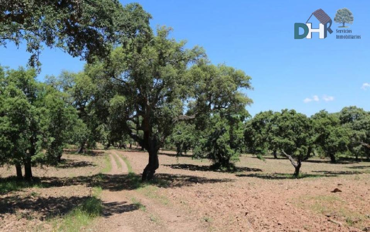 till salu tomt El Plantio Badajoz 4