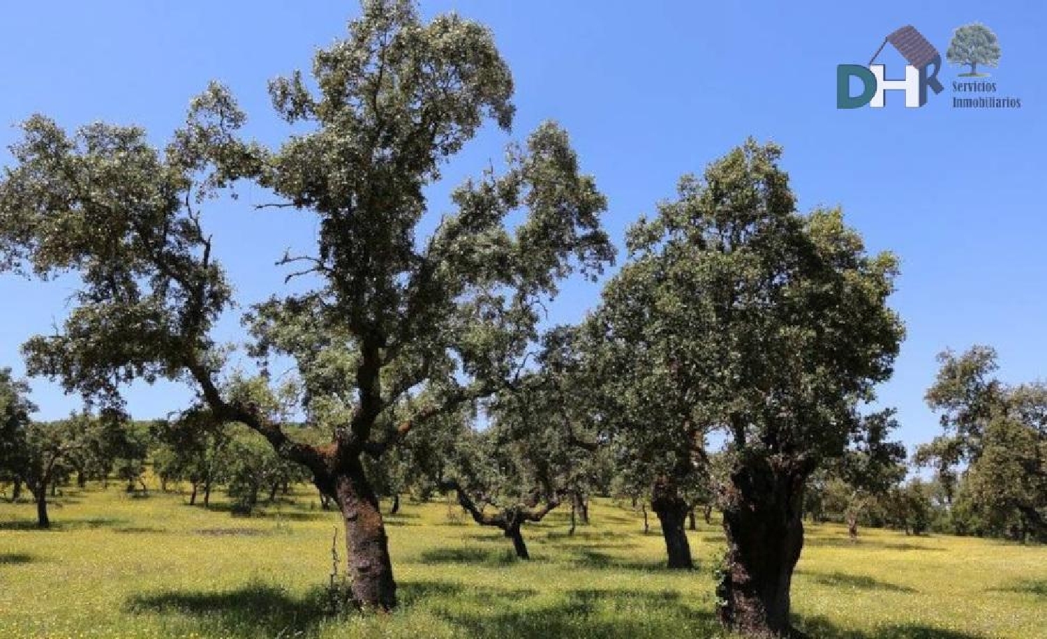  till salu tomt El Plantio Badajoz 1