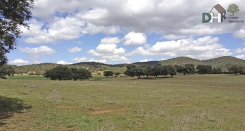 El Plantio Badajoz tomt foto 6258251