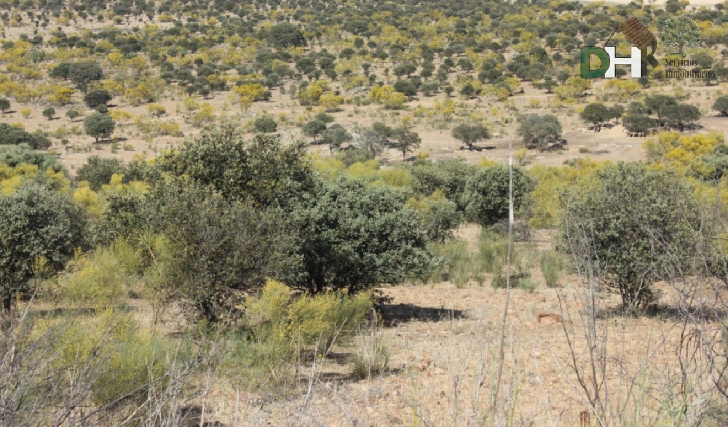  till salu tomt El Plantio Badajoz 6