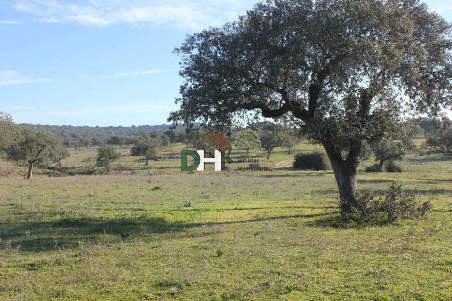 till salu tomt El Plantio Badajoz 3