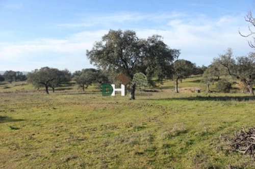 El Plantio Badajoz tomt foto 6258360