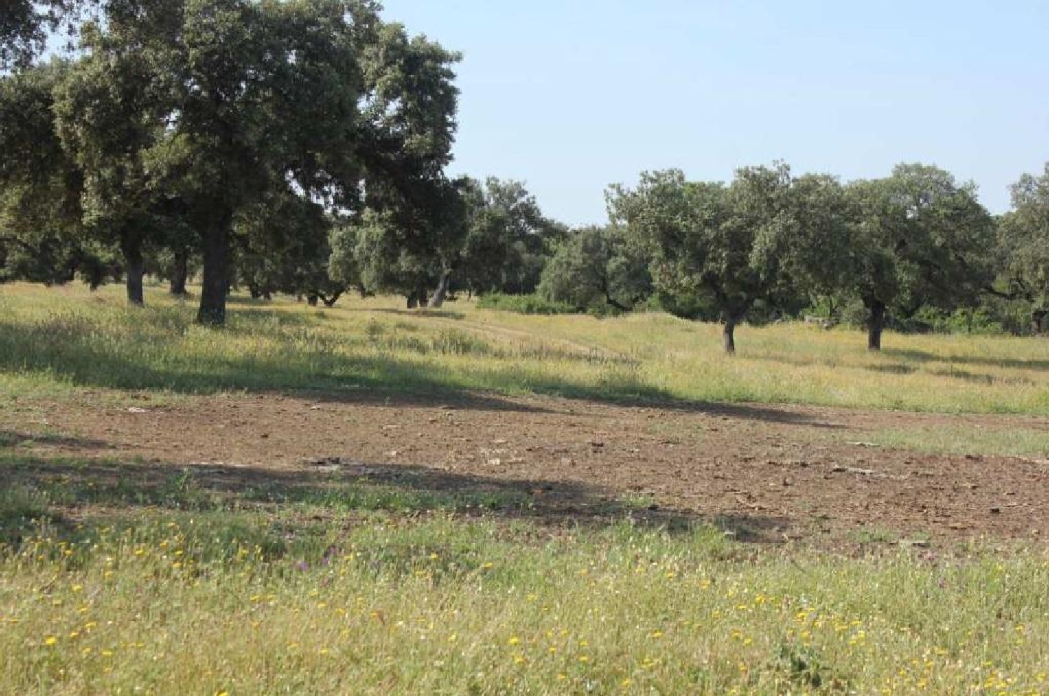  till salu tomt El Plantio Badajoz 7