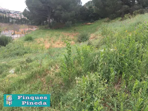 Can Carreres Maresme tomt foto 6178877