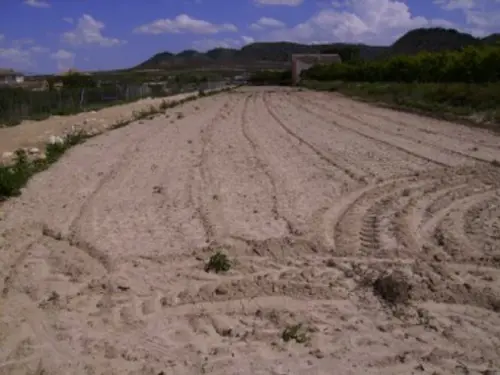Pantano De Alfonso Xiii Noroeste tomt foto 6207731