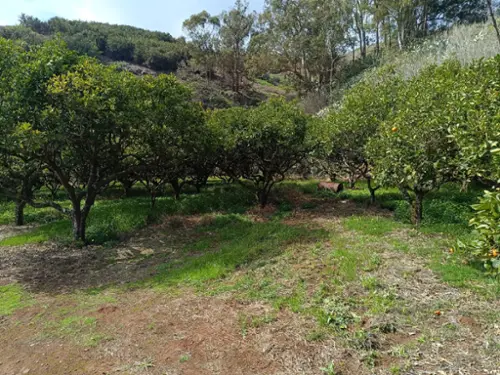 Quebradero Área Norte tomt foto 6171286