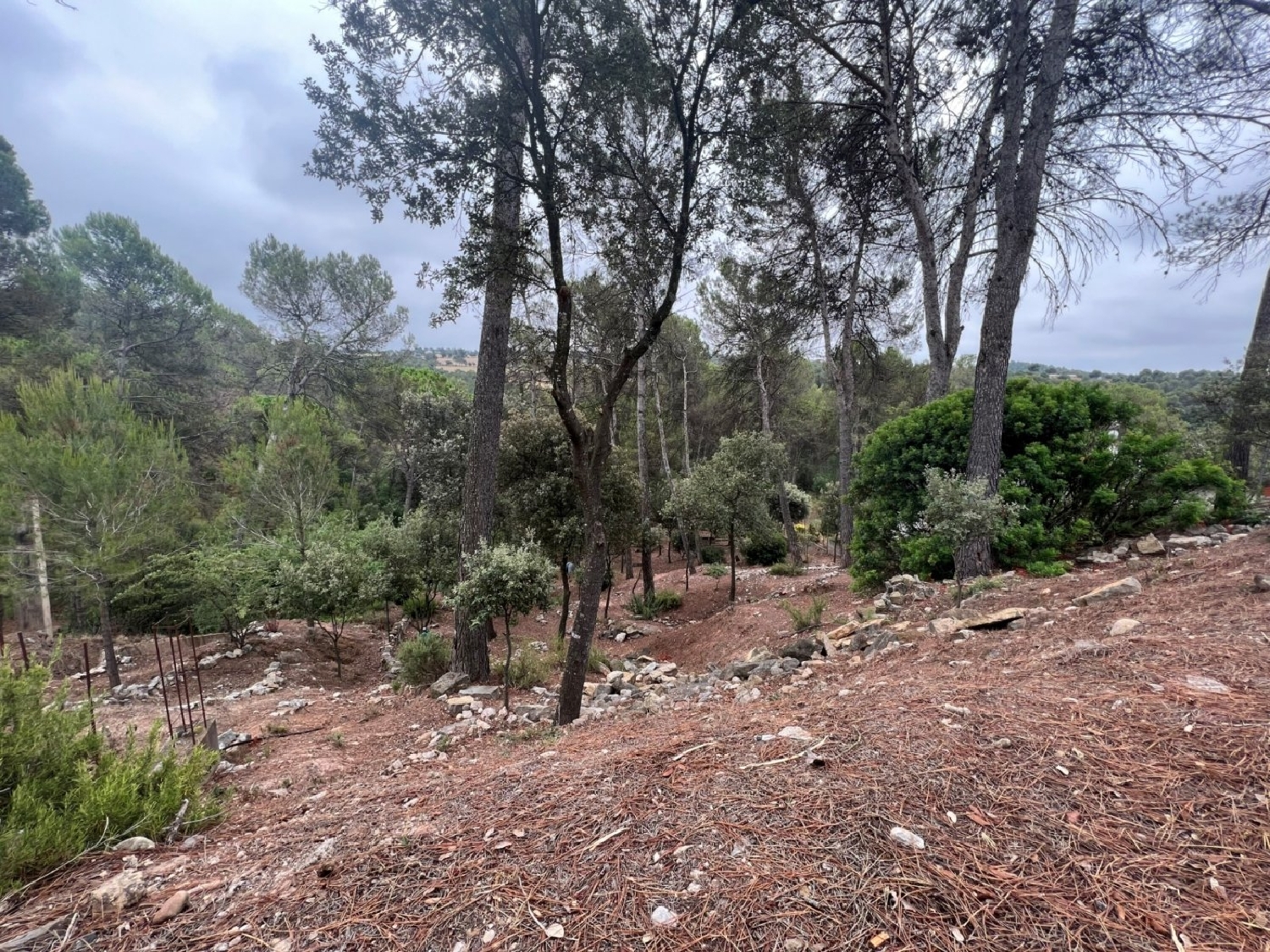 till salu tomt El Serrat De Castellnou Bages 2