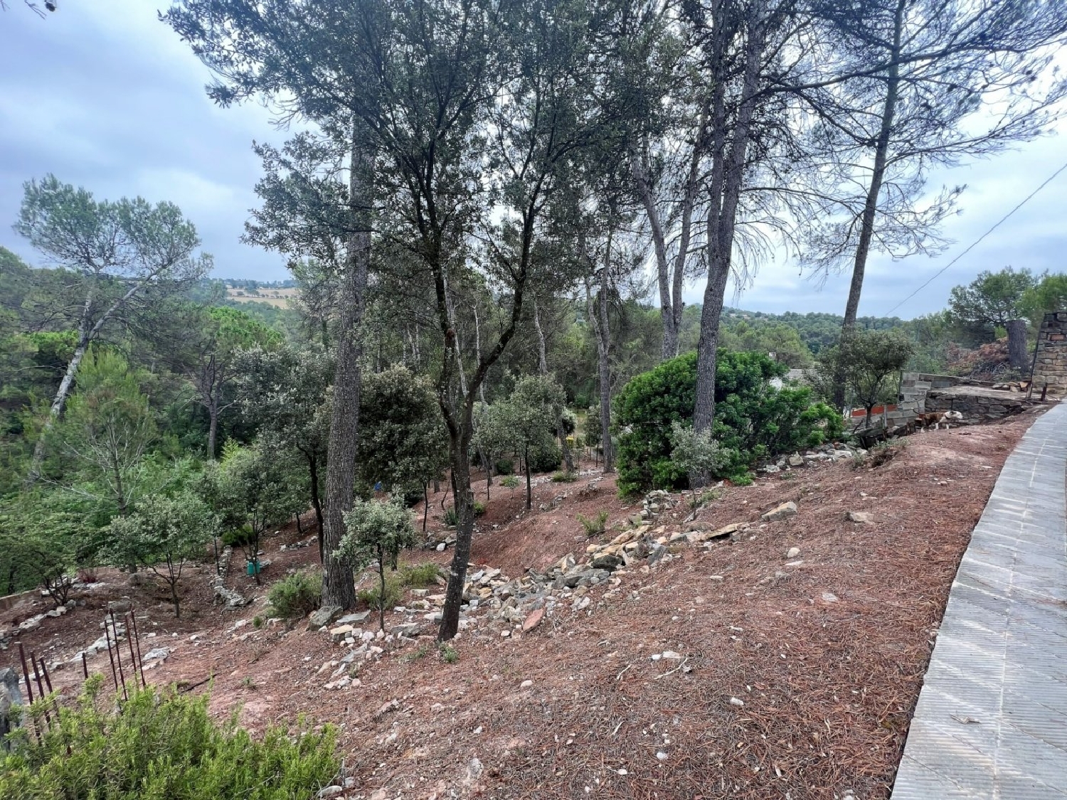 till salu tomt El Serrat De Castellnou Bages 3