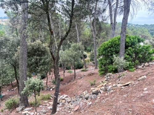 El Serrat De Castellnou Bages tomt foto 6238903