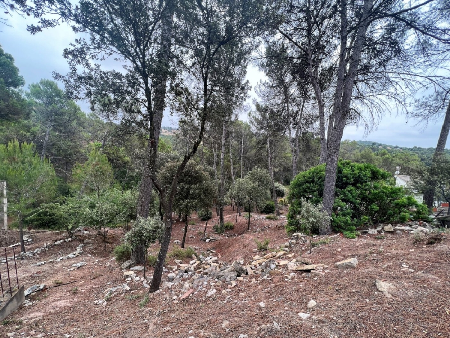  till salu tomt El Serrat De Castellnou Bages 8