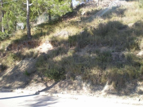 Castellnou De Bages Bages tomt foto 6217770