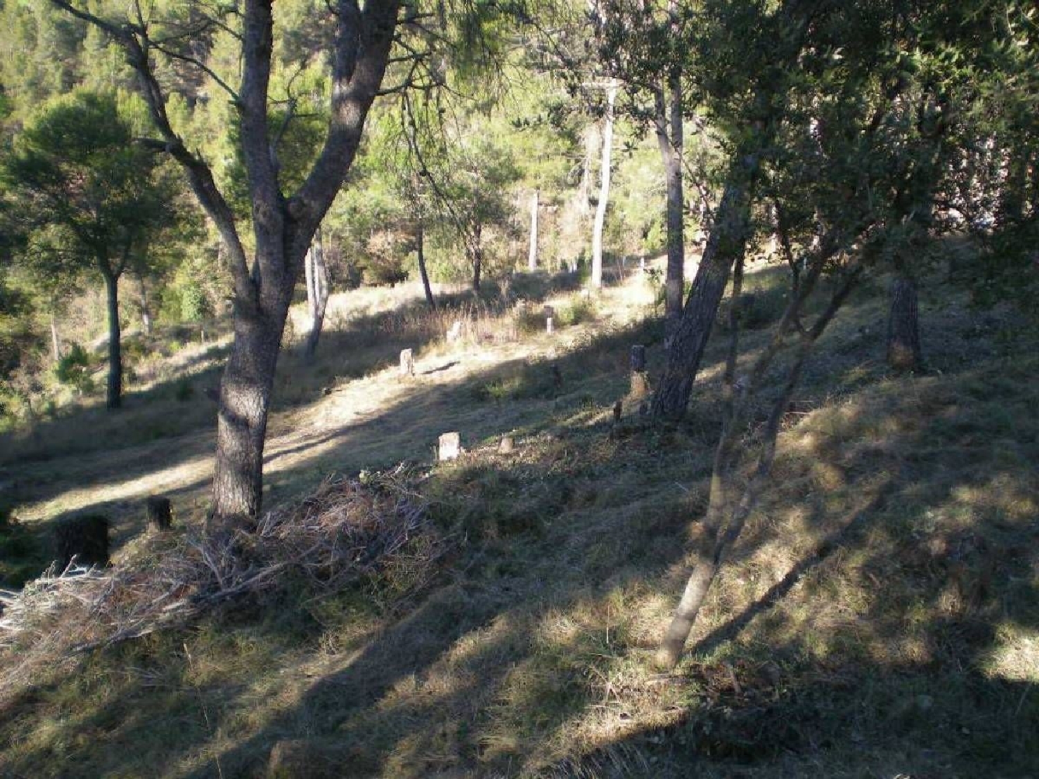  till salu tomt El Serrat De Castellnou Bages 4