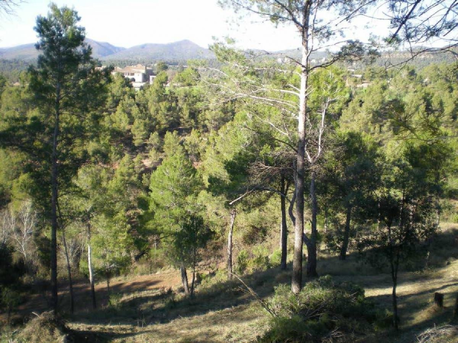 till salu tomt El Serrat De Castellnou Bages 3