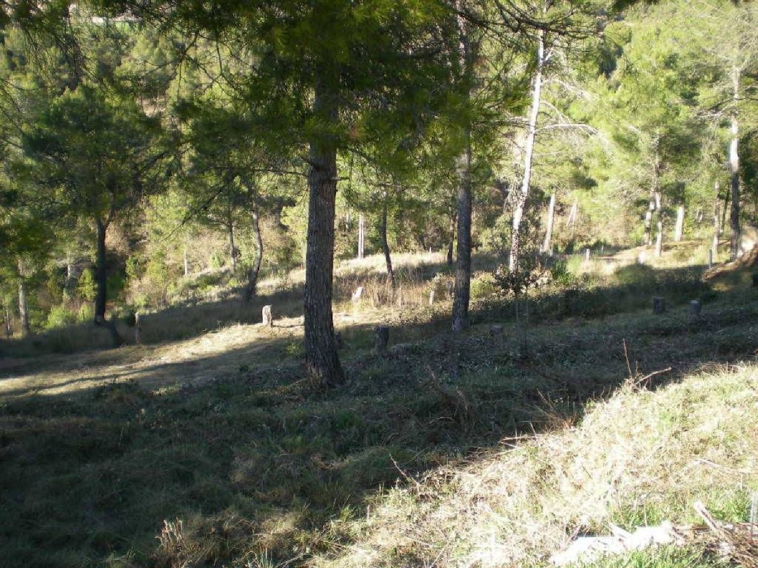  till salu tomt El Serrat De Castellnou Bages 5