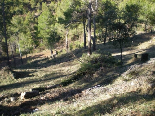 El Serrat De Castellnou Bages tomt foto 6259337