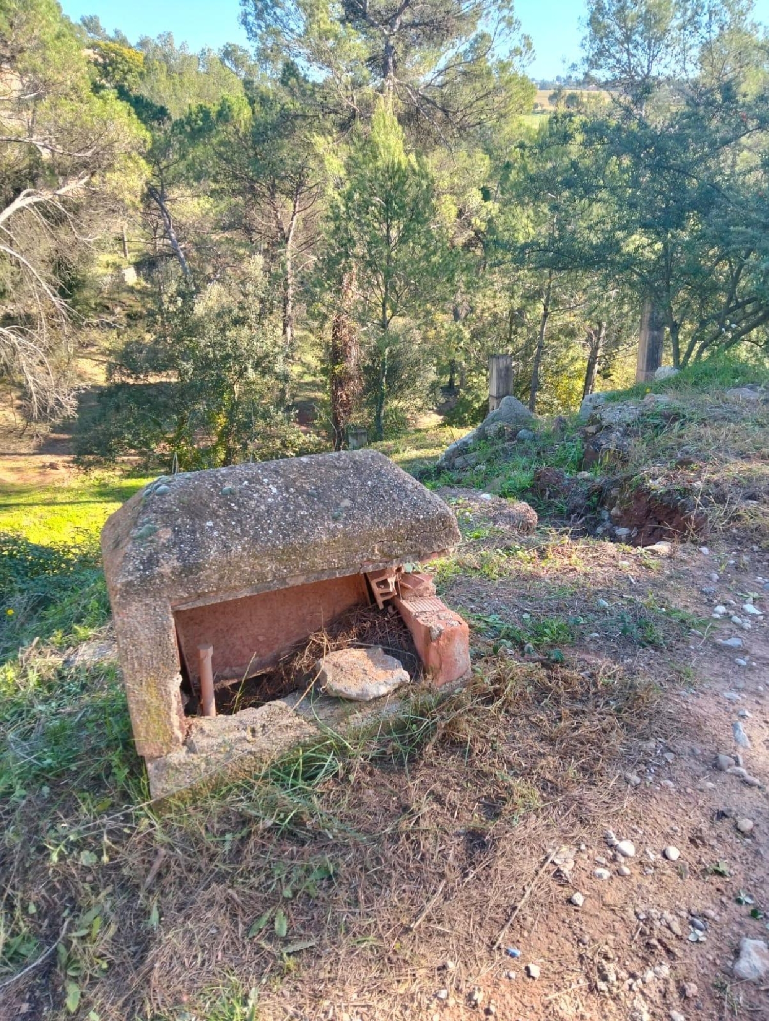 till salu tomt El Serrat De Castellnou Bages 3