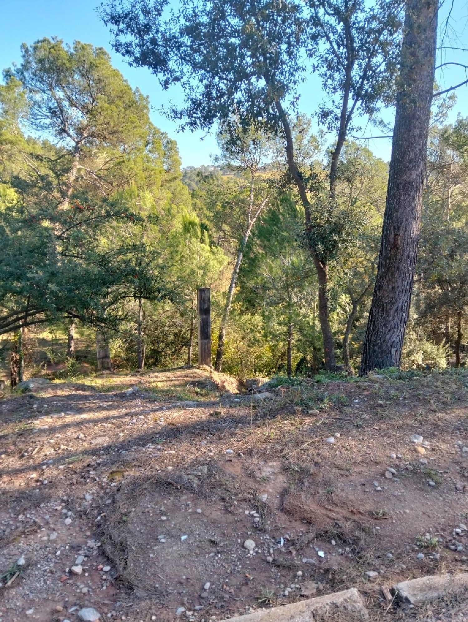 till salu tomt El Serrat De Castellnou Bages 2
