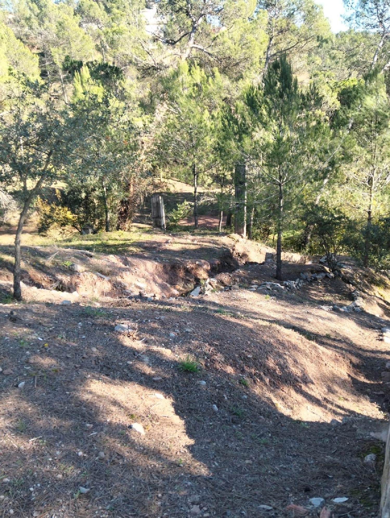  till salu tomt El Serrat De Castellnou Bages 1