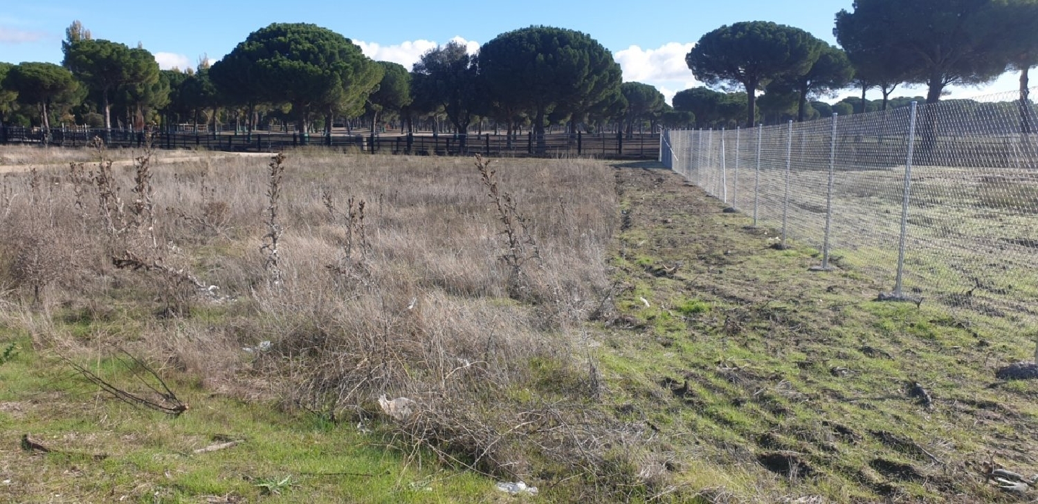 till salu tomt El Soto Tierra De Pinares 2