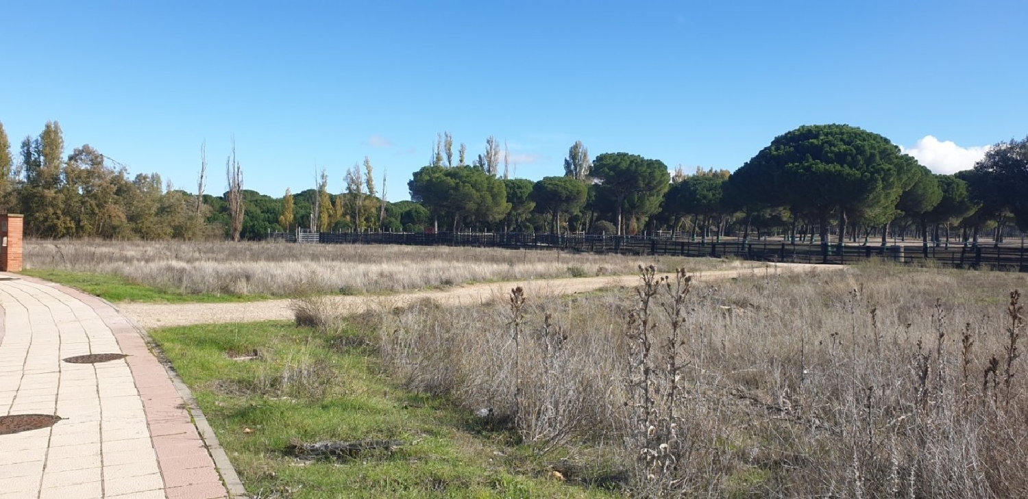  till salu tomt El Soto Tierra De Pinares 6