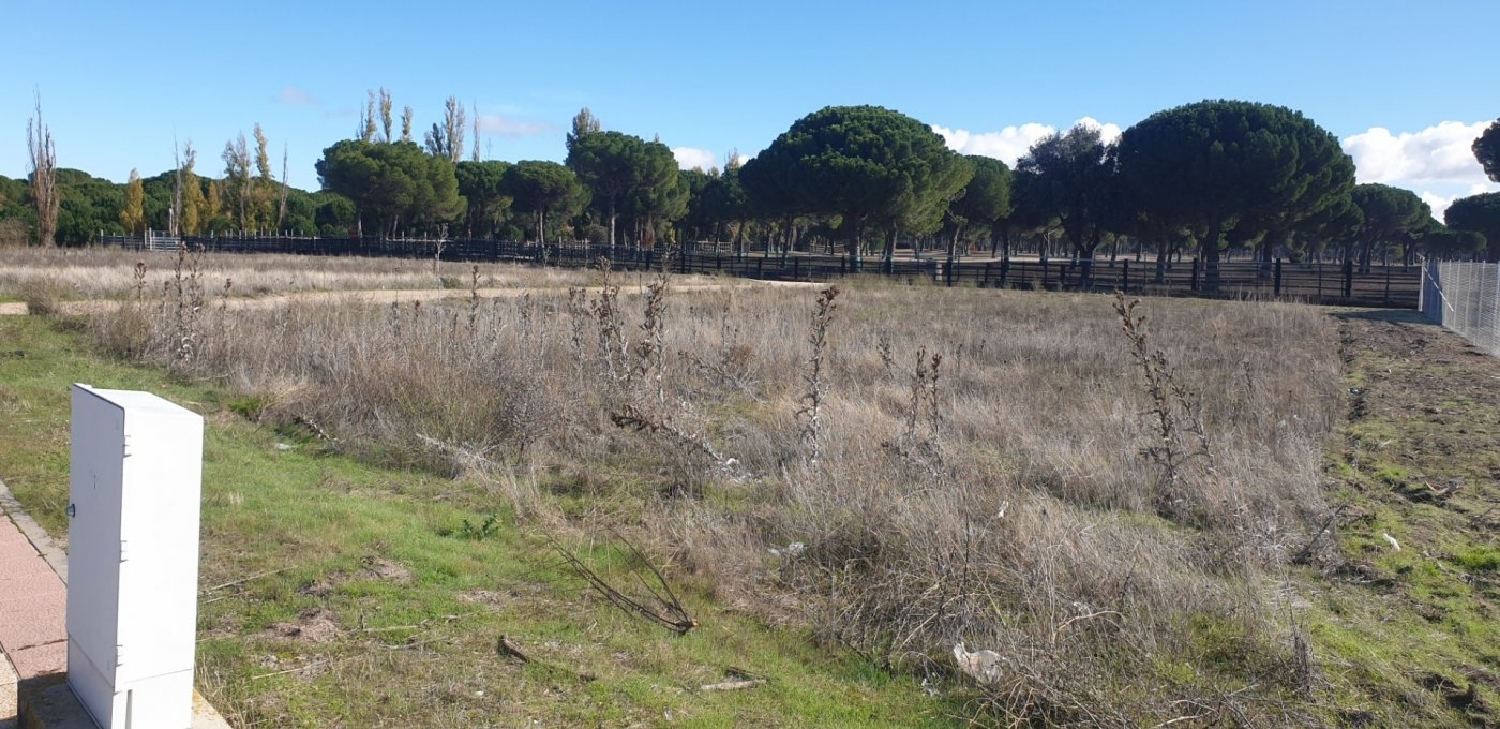  till salu tomt El Soto Tierra De Pinares 3
