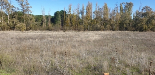El Soto Tierra De Pinares tomt foto 6228224