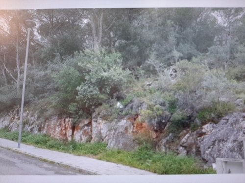 El Torretxo Ribera Alta tomt foto 6257258