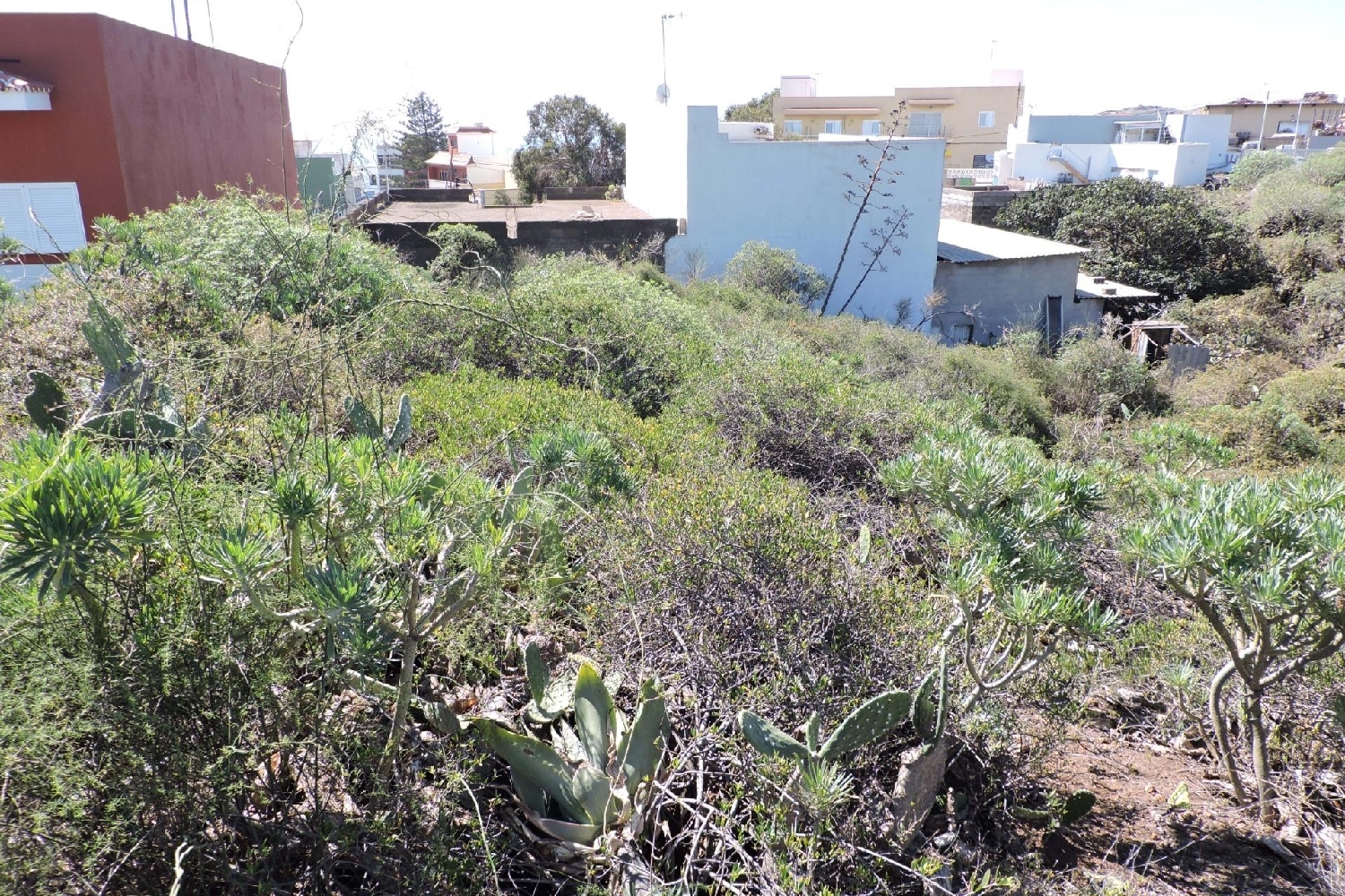 till salu tomt El Toscal Zona Metropolitana 3