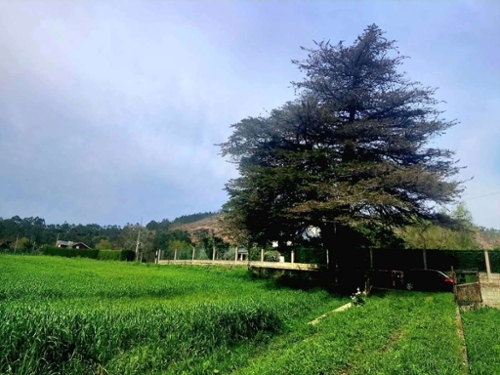 El Vidural Eo-Navia tomt foto 6228452