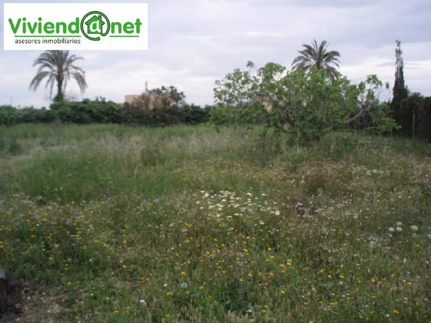  for sale plot Elche Carrús Est Baix Vinalopó 1