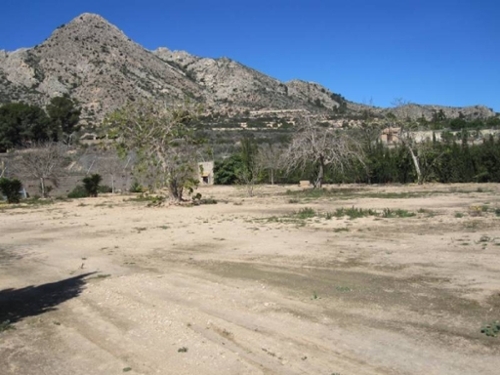 Els Montesinos Vinalopó Mitjà tomt foto 6223327