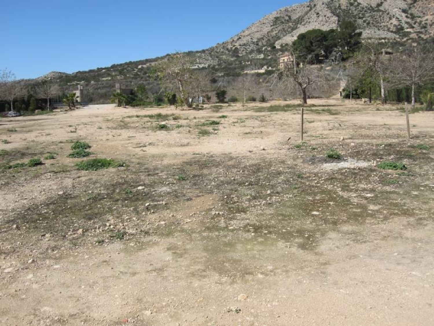  till salu tomt Els Montesinos Vinalopó Mitjà 4