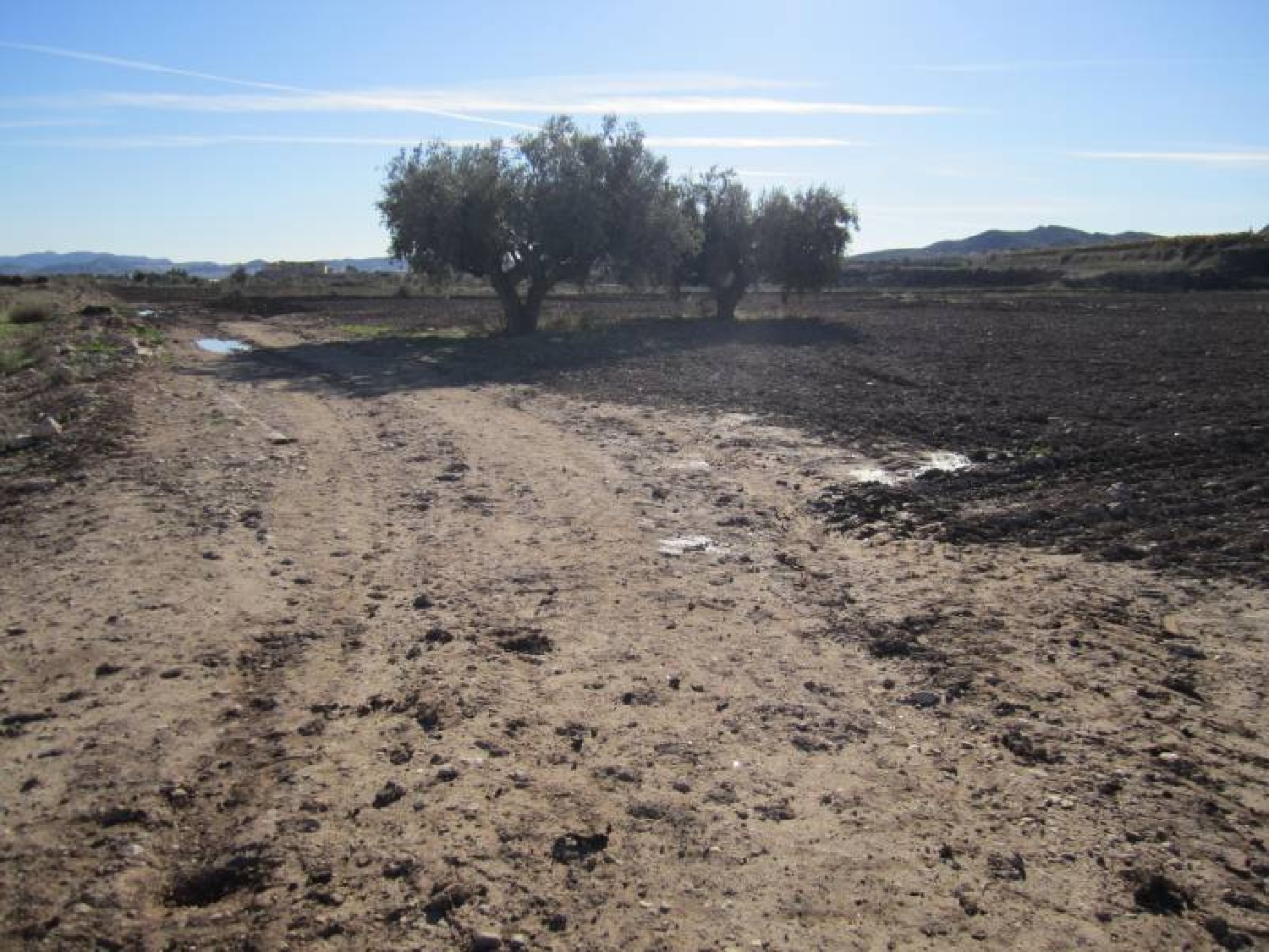 till salu tomt La Estacion Vinalopó Mitjà 3