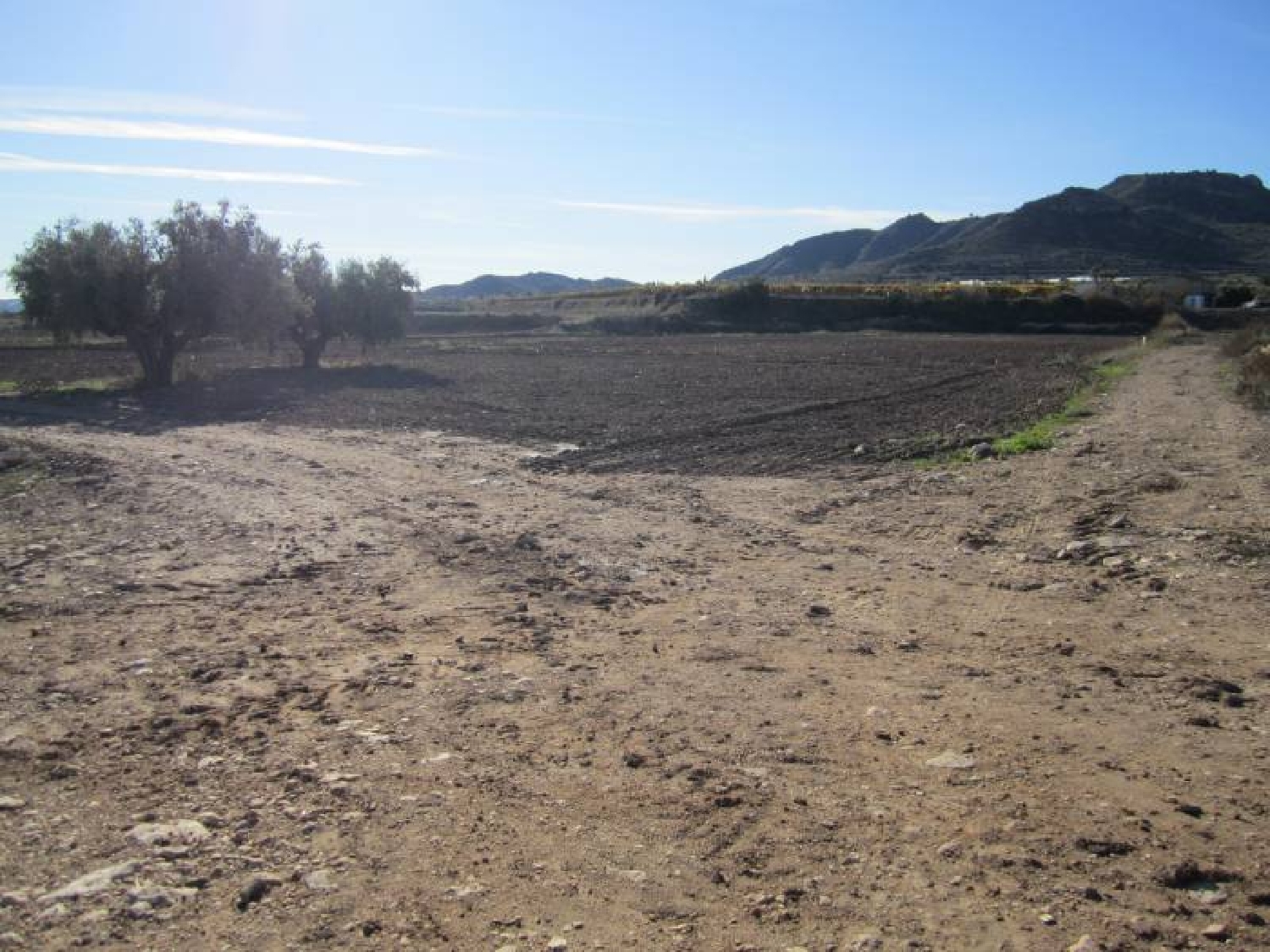till salu tomt La Estacion Vinalopó Mitjà 2