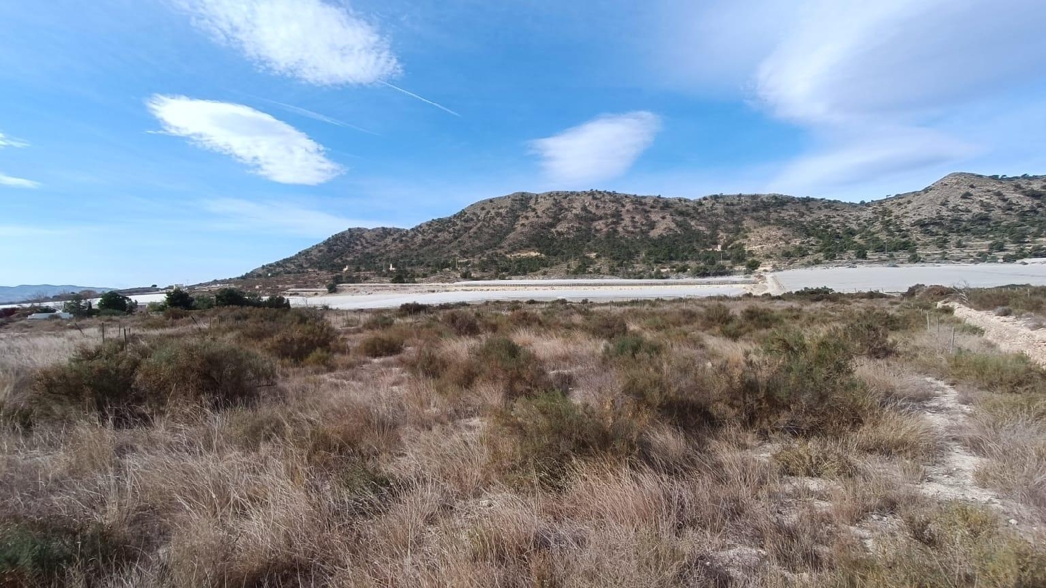 till salu tomt La Estacion Vinalopó Mitjà 7