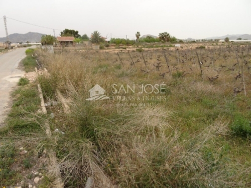 Els Montesinos Vinalopó Mitjà tomt foto 6227033