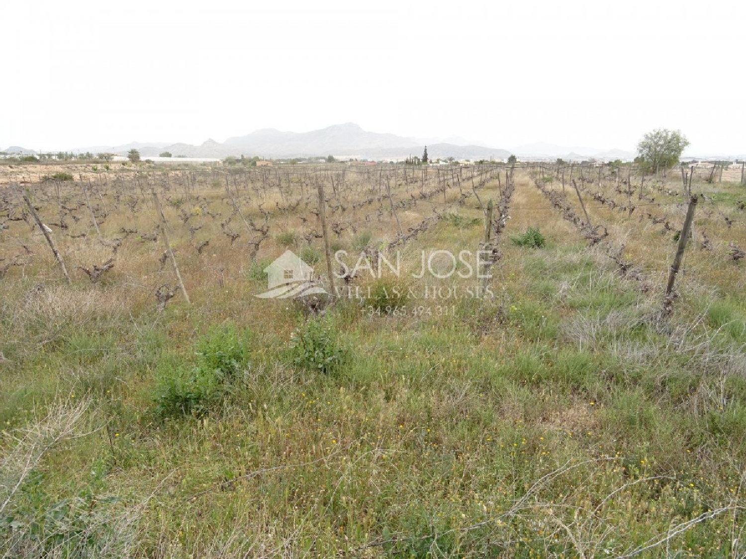 till salu tomt Els Montesinos Vinalopó Mitjà 3