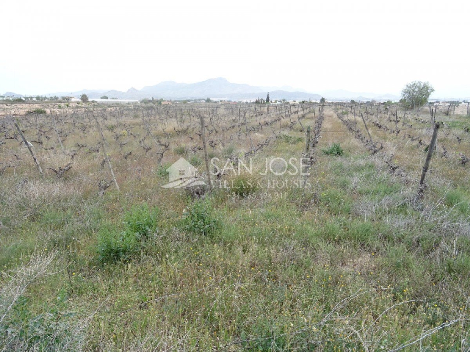 till salu tomt Els Montesinos Vinalopó Mitjà 2