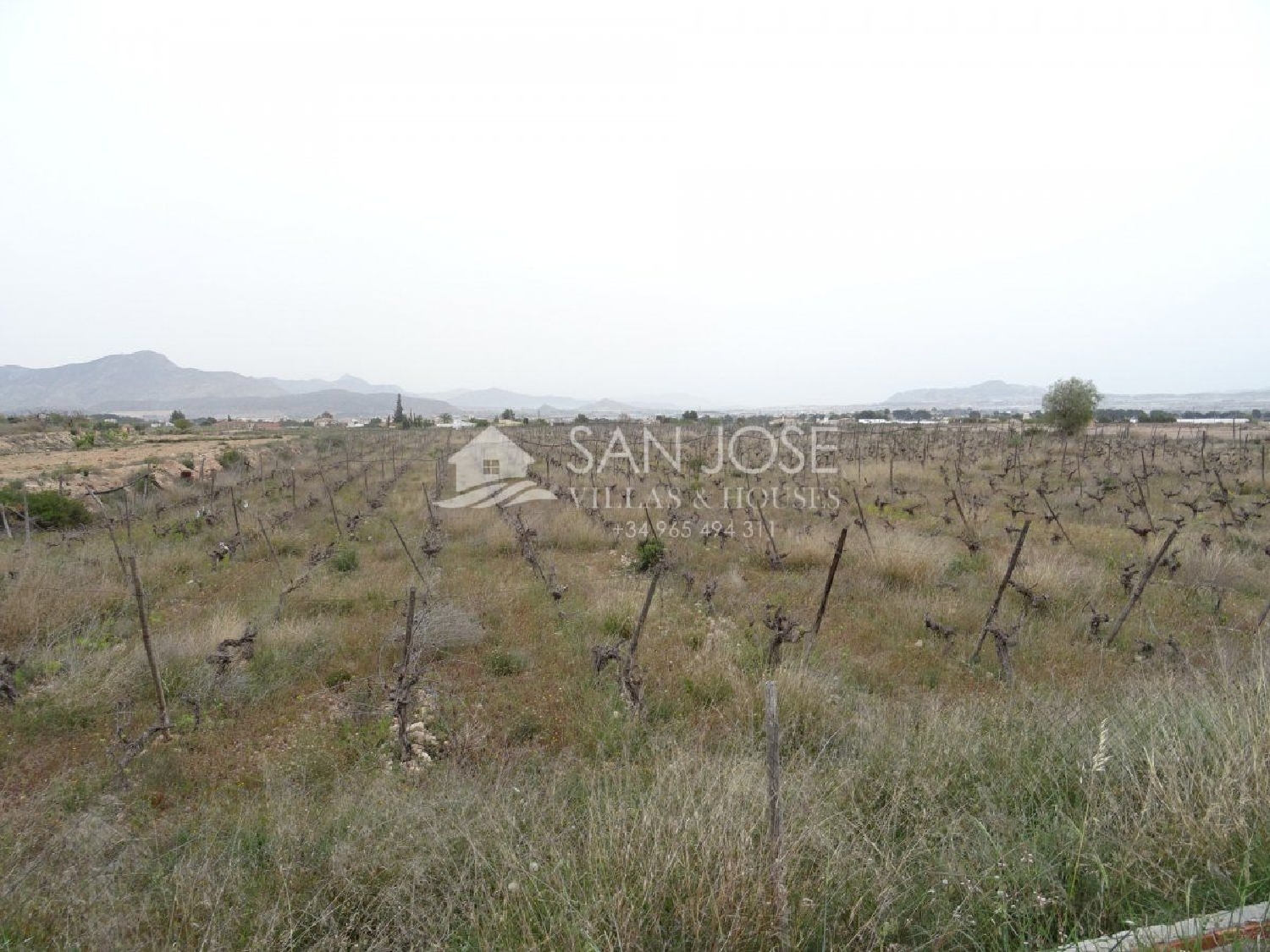  till salu tomt Els Montesinos Vinalopó Mitjà 8