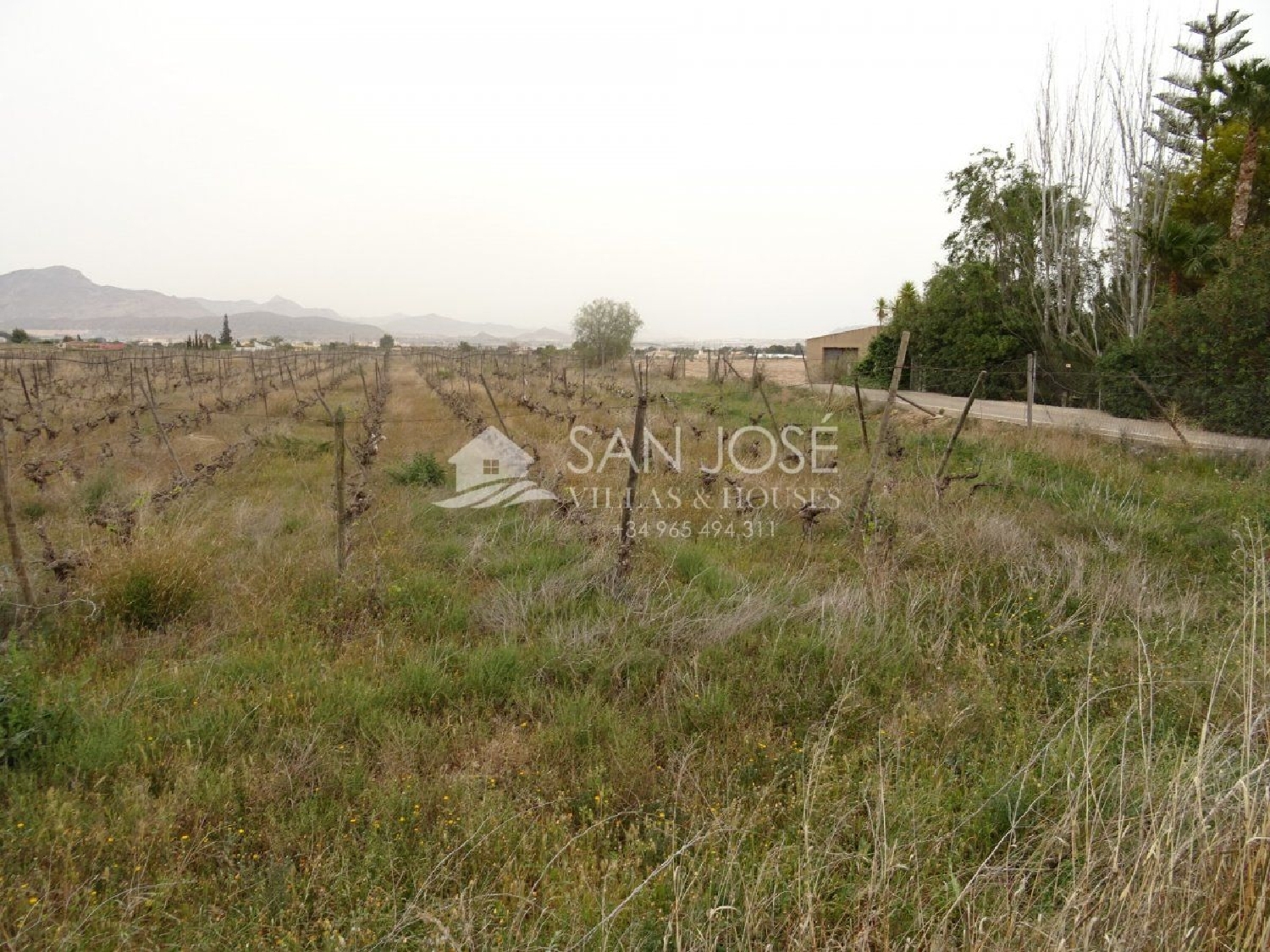  till salu tomt Els Montesinos Vinalopó Mitjà 4