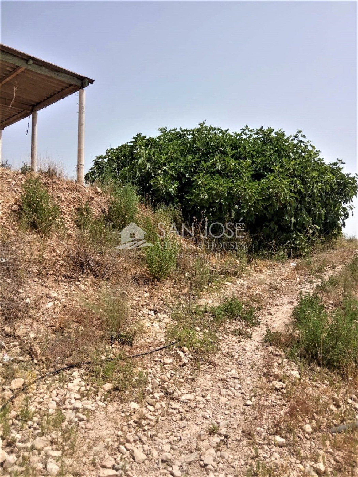  till salu tomt Els Montesinos Vinalopó Mitjà 4
