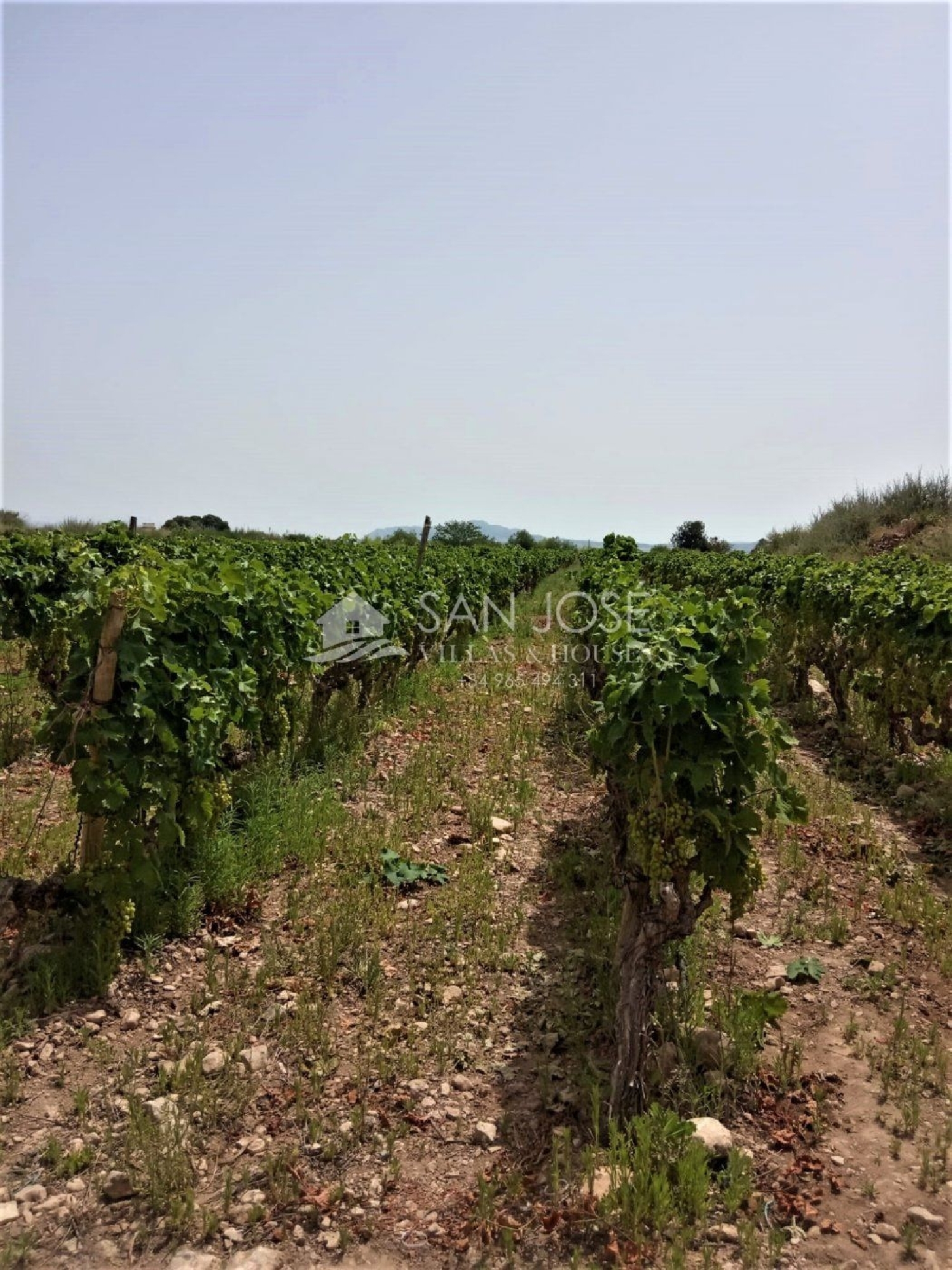 till salu tomt Els Montesinos Vinalopó Mitjà 2