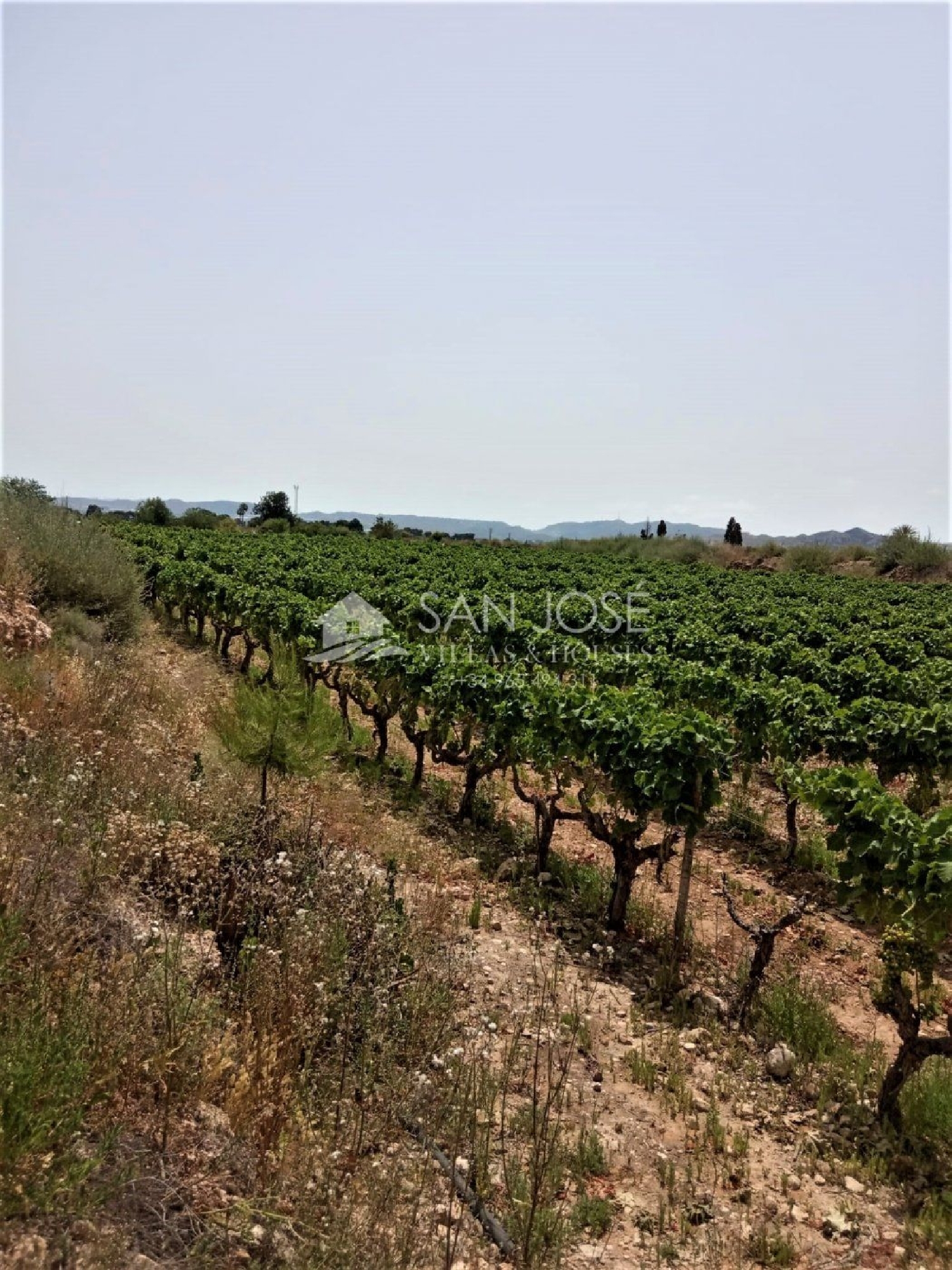 till salu tomt Els Montesinos Vinalopó Mitjà 3