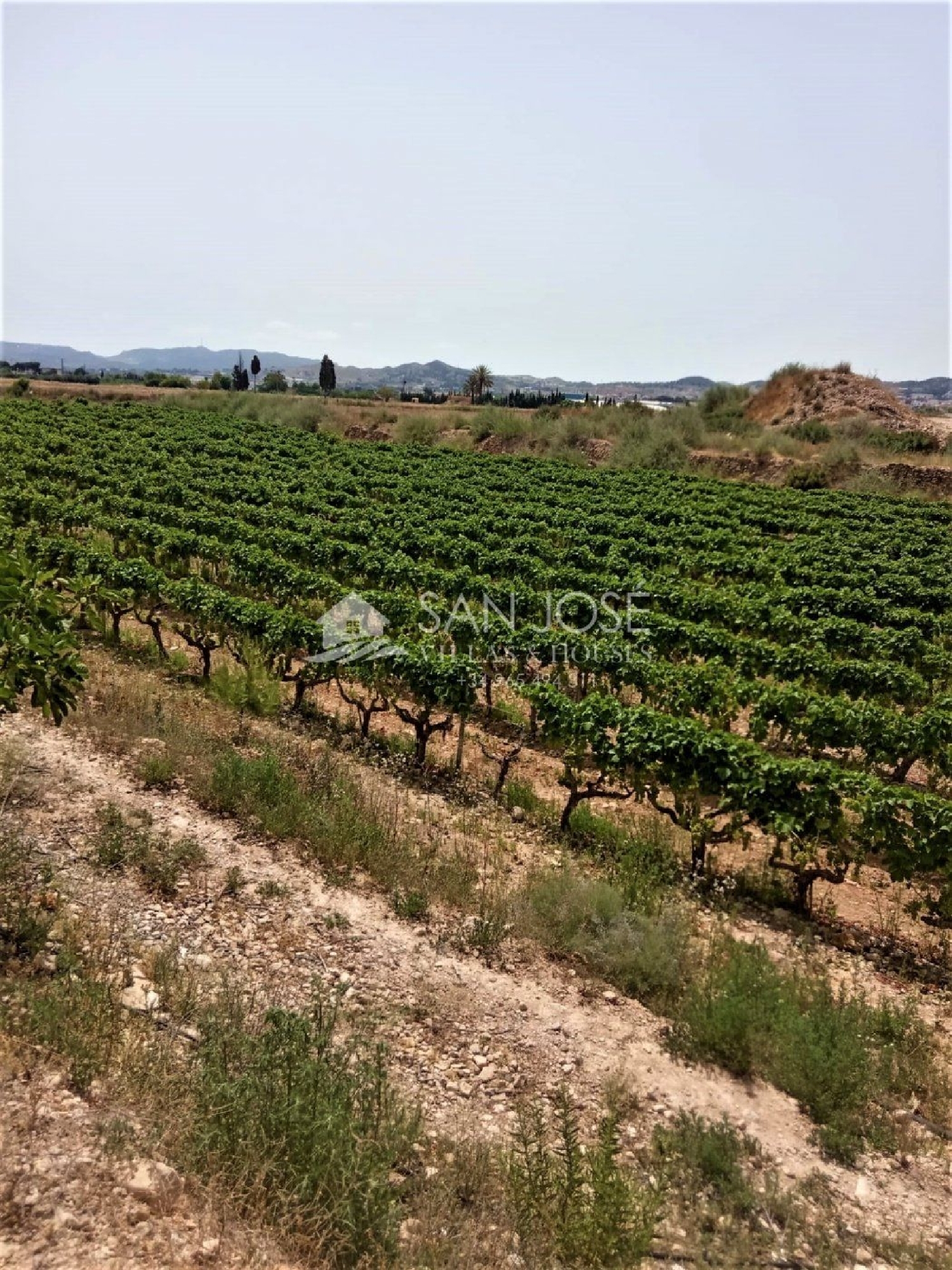  till salu tomt Els Montesinos Vinalopó Mitjà 1
