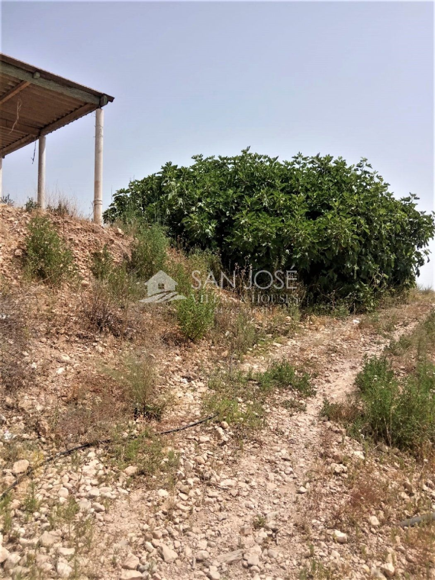  till salu tomt Els Montesinos Vinalopó Mitjà 6
