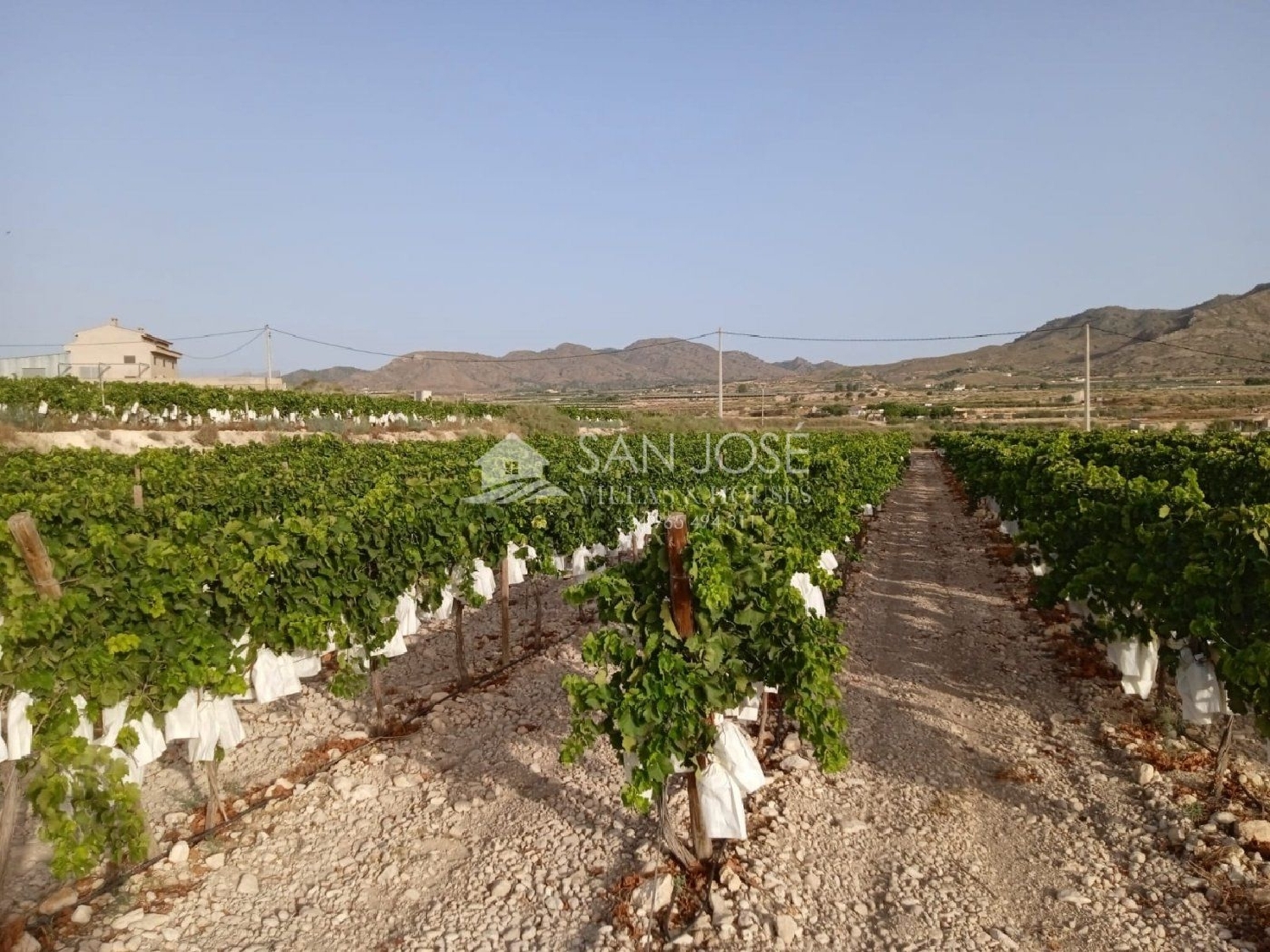 till salu tomt Els Montesinos Vinalopó Mitjà 2
