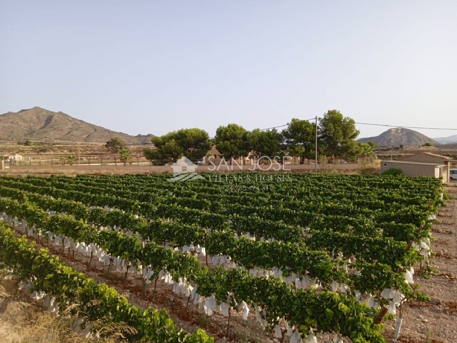  till salu tomt Els Montesinos Vinalopó Mitjà 5