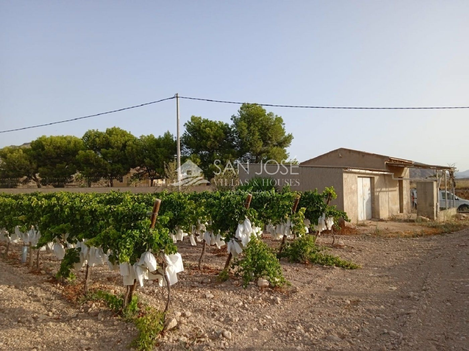  till salu tomt Els Montesinos Vinalopó Mitjà 1